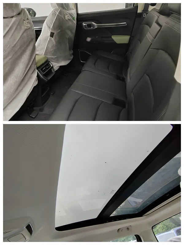 2024 Geely Rd6 Pure Electric/EV 4X2 Double Cabin Pickup Truck - Image 4