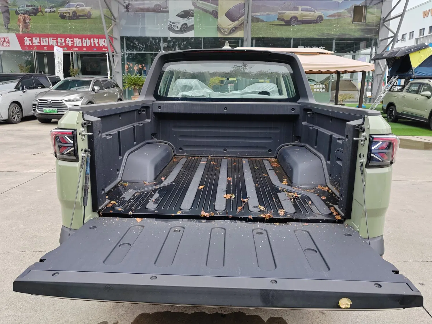 2024 Geely Rd6 Pure Electric/EV 4X2 Double Cabin Pickup Truck - Image 5