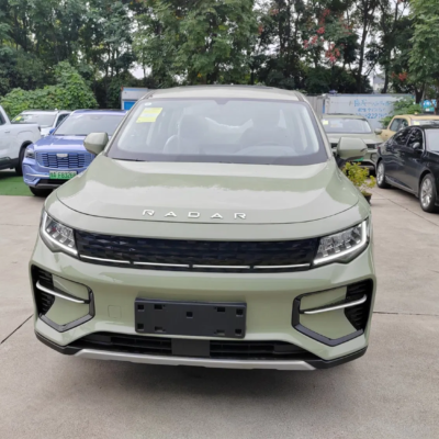 2024 Geely Rd6 Pure Electric/EV 4X2 Double Cabin Pickup Truck