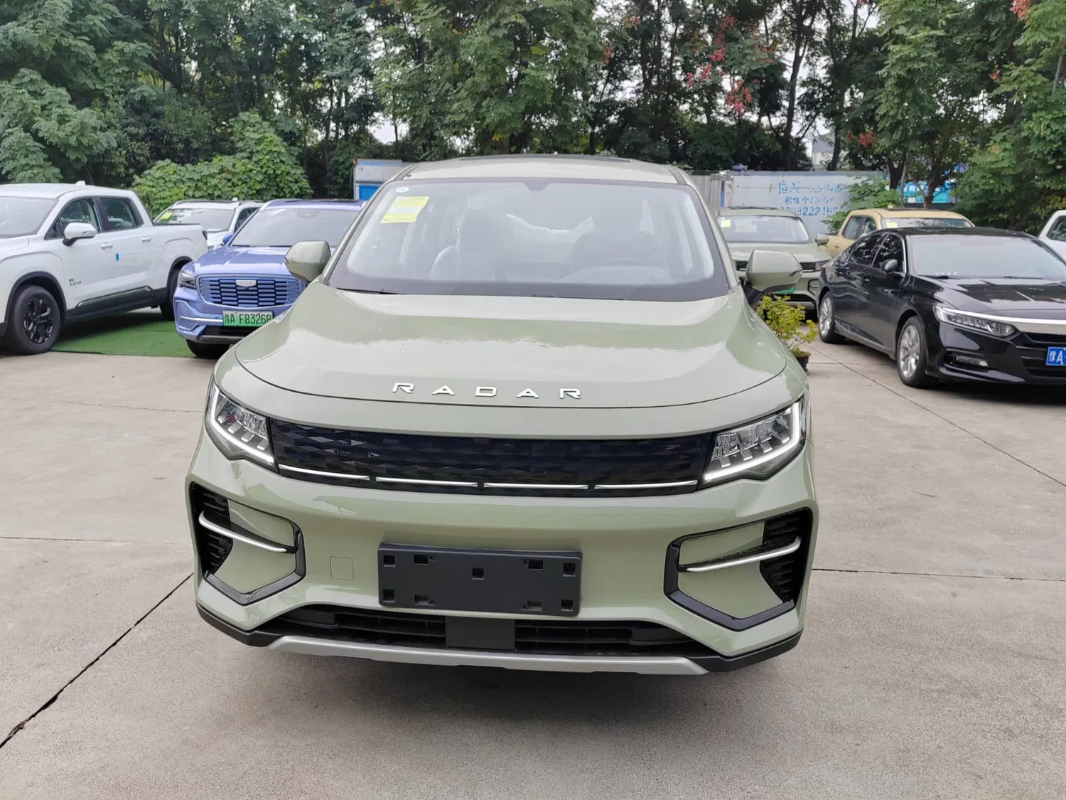 2024 Geely Rd6 Pure Electric/EV 4X2 Double Cabin Pickup Truck