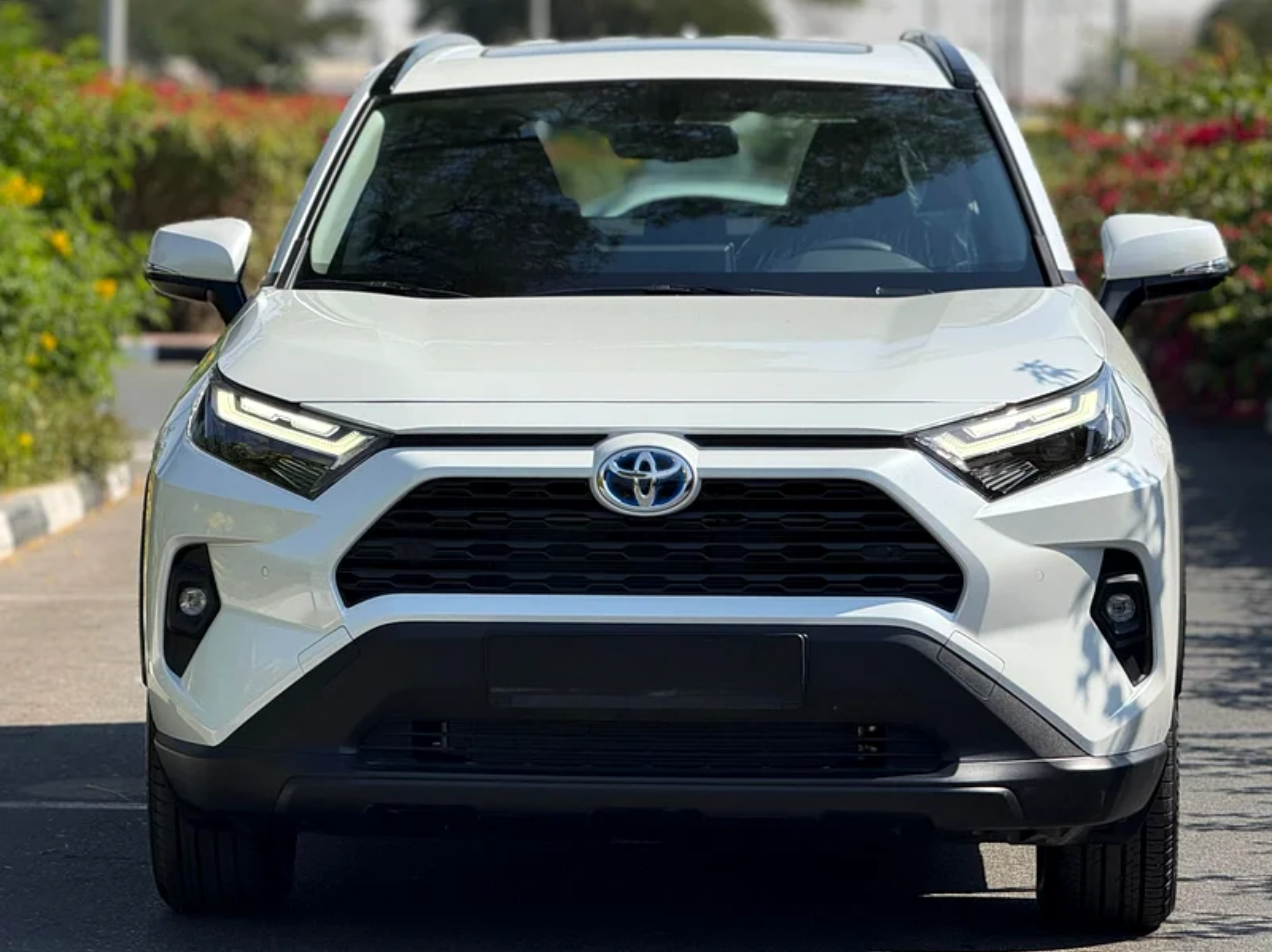 Toyota Rav4 XLE Hybrid 2.5L 2024 - Image 2