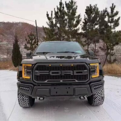 2019 Ford F-150 2019 Model