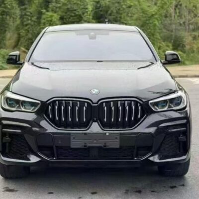 2023 BMW X6